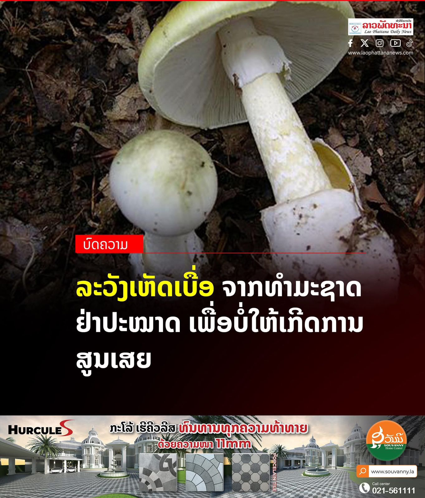ລະວັງເຫັດເບື່ອຈາກທຳມະຊາດ ຢ່າປະໝາດເພື່ອບໍ່ໃຫ້ເກີດການສູນເສຍໂດຍ: ຜາຕຸງ