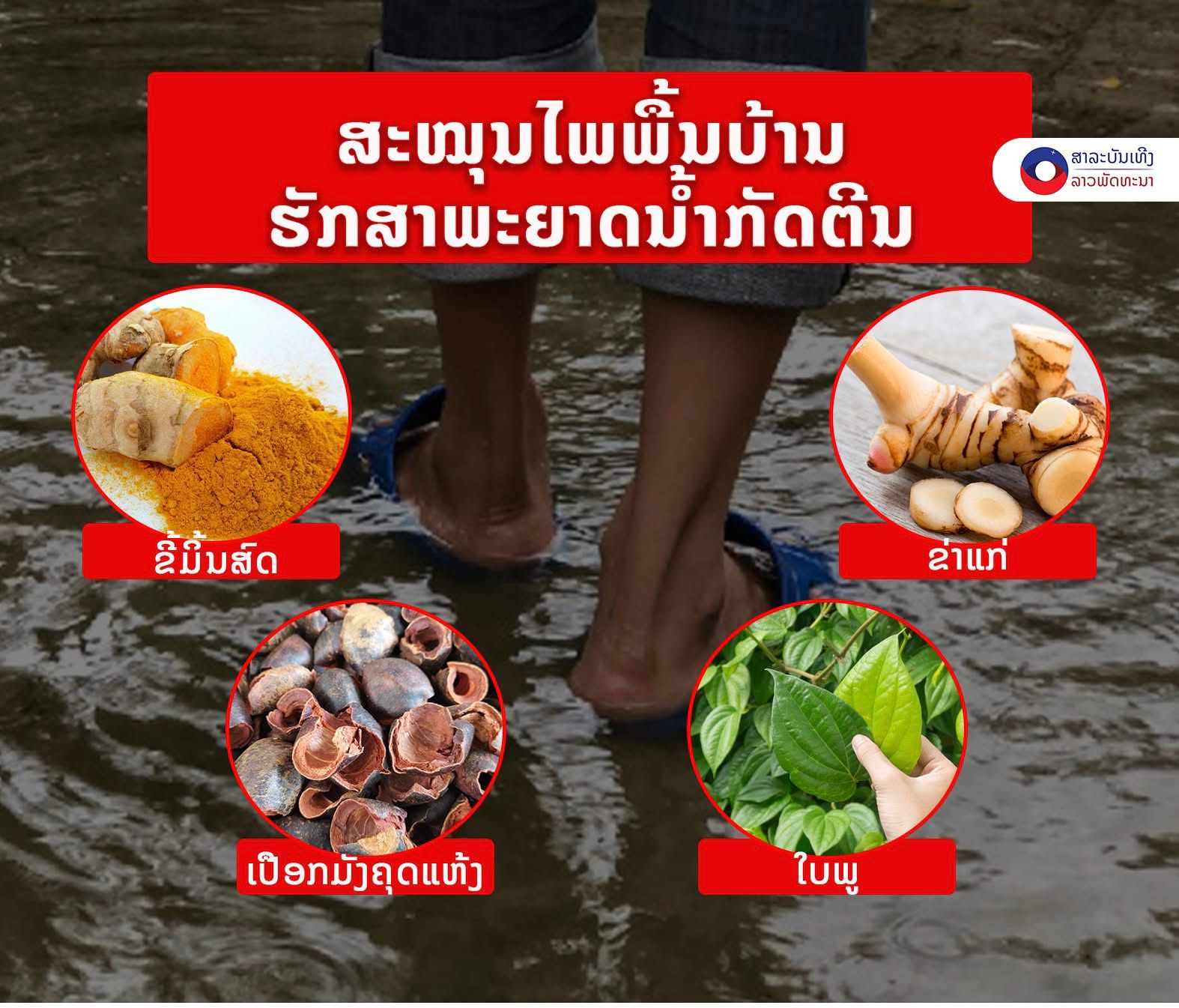 ສະໝຸນໄພພື້ນບ້ານຮັກສາພະຍາດນໍ້າກັດຕີນ