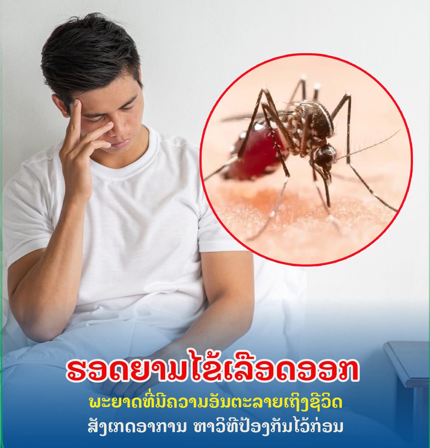 ໄຂ້ເລືອດອອກແບ່ງອອກເປັນ 3 ໄລຍະຄື