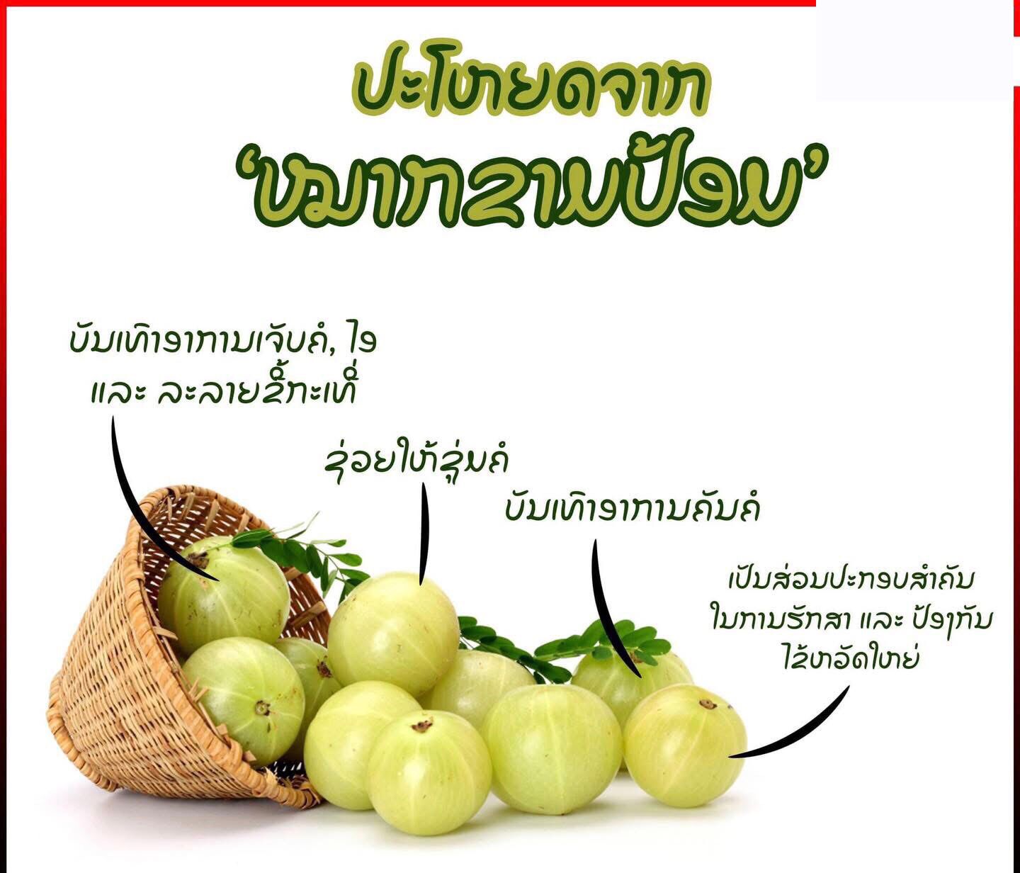 ຄຸນປະໂຫຍດໝາກຂາມປ້ອມ.