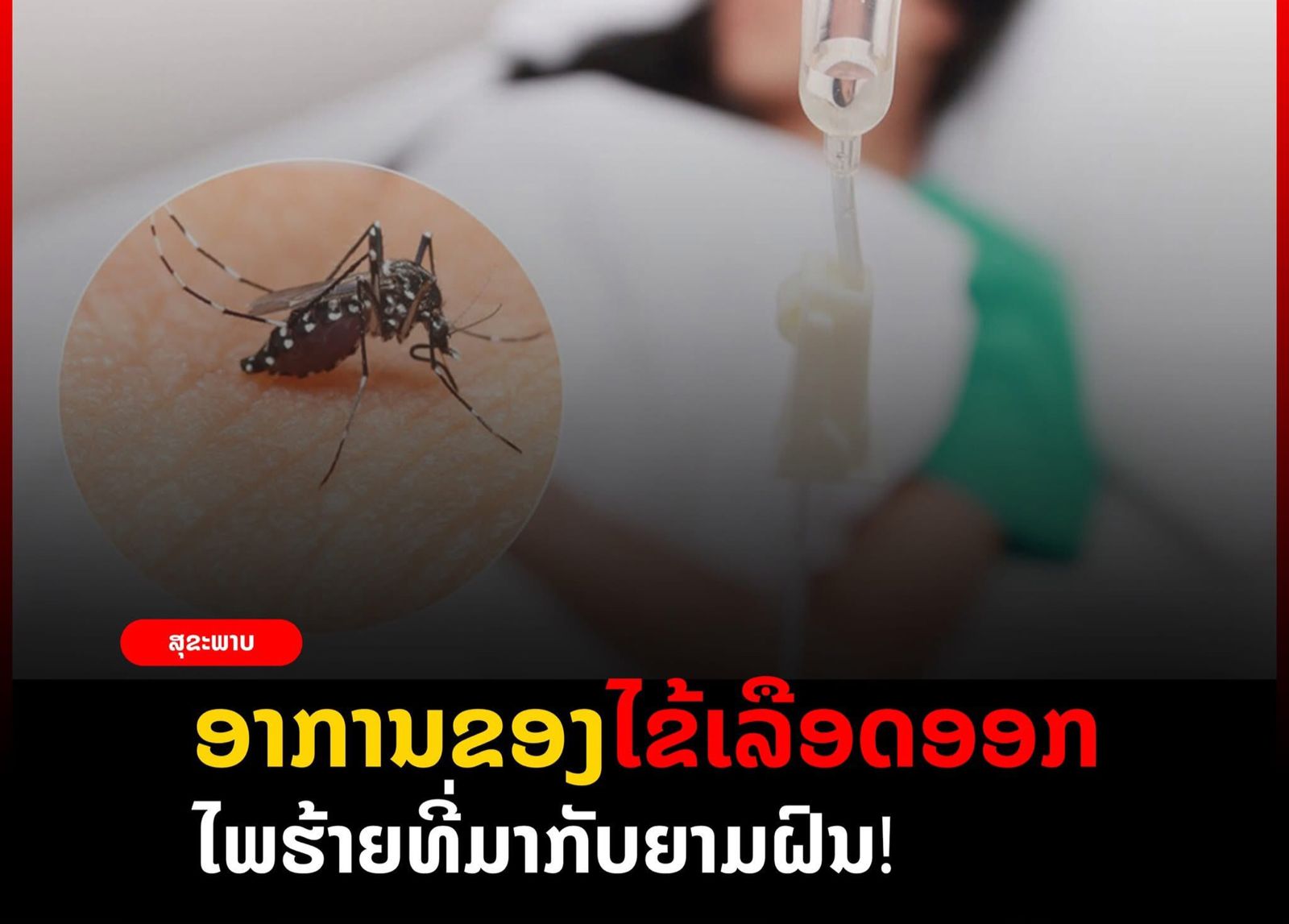 ອາການຂອງໄຂ້ເລືອດອອກ.