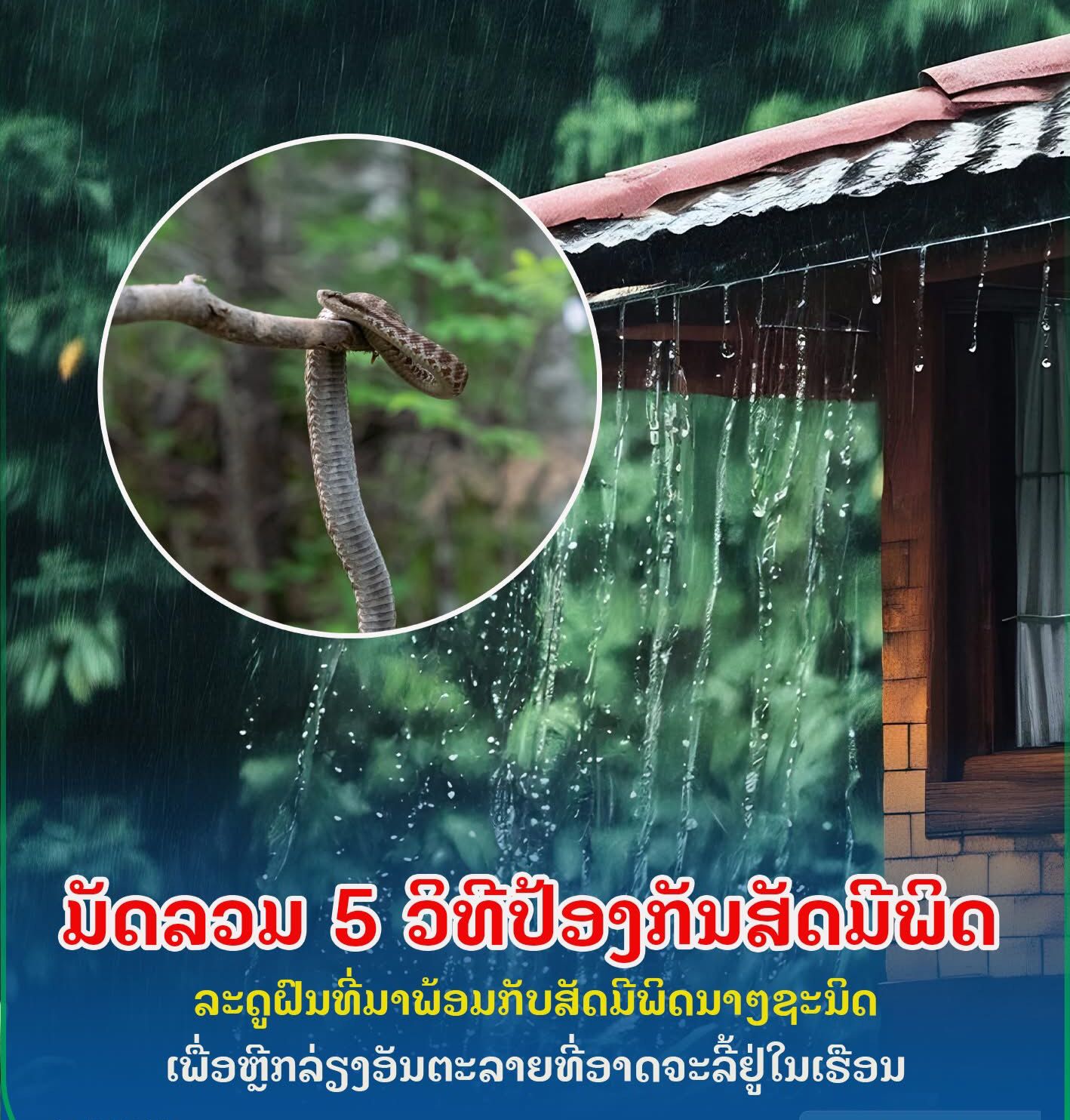 ມັດລວມ 5 ວິທີປ້ອງກັນສັດມີພິດ‼️
