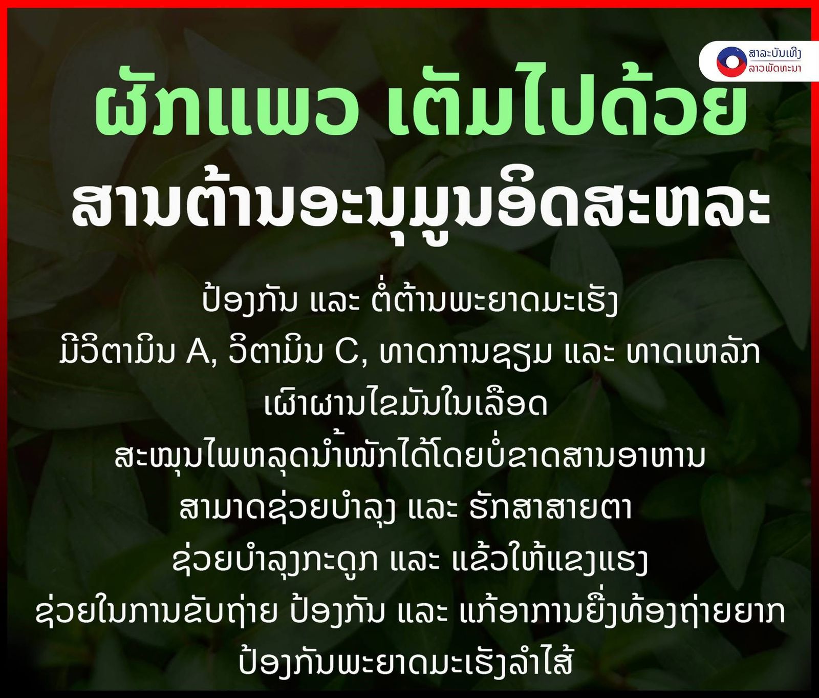 ຄຸນຄ່າທາງໂພຊະນາການຂອງຜັກແພວ.
