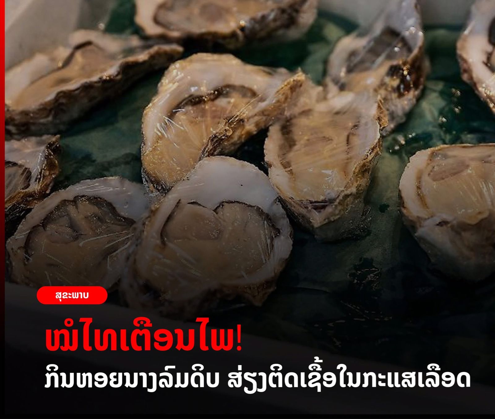 ໝໍໄທເຕືອນໄພກິນຫອຍນາງລົມດິບ ສ່ຽງຕິດເຊື້ອໃນກະແສເລືອດ.