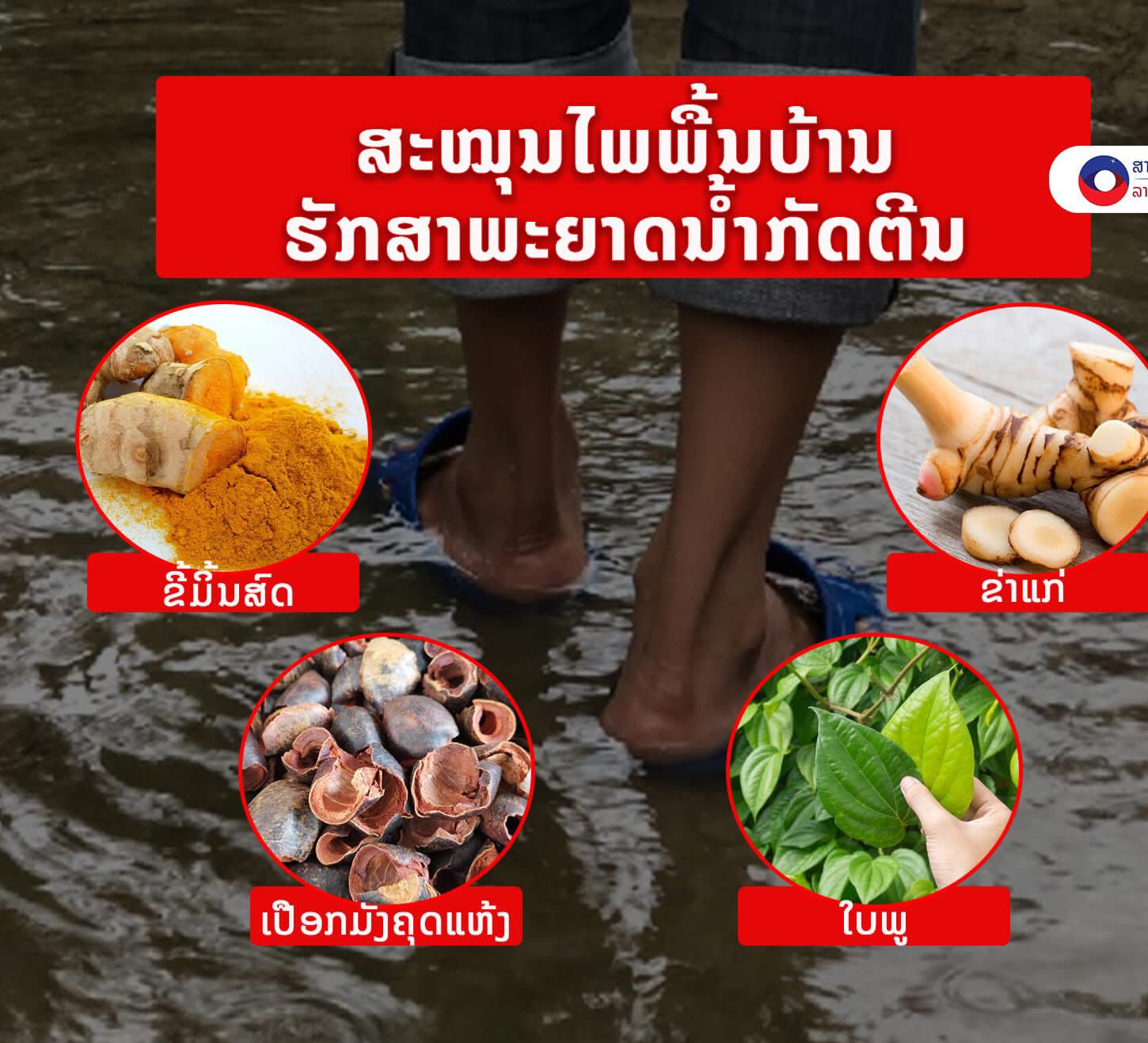 ສະໝຸນໄພພື້ນບ້ານຮັກສາພະຍາດນໍ້າກັດຕີນ.