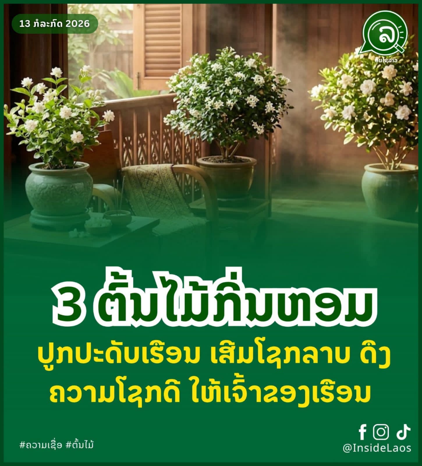 3 ຕົ້ນໄມ້ກິ່ນຫອມ ປູກປະດັບເຮືອນ ເສີມໂຊກລາບ ດຶງຄວາມໂຊກດີ ໃຫ້ເຈົ້າຂອງເຮືອນ