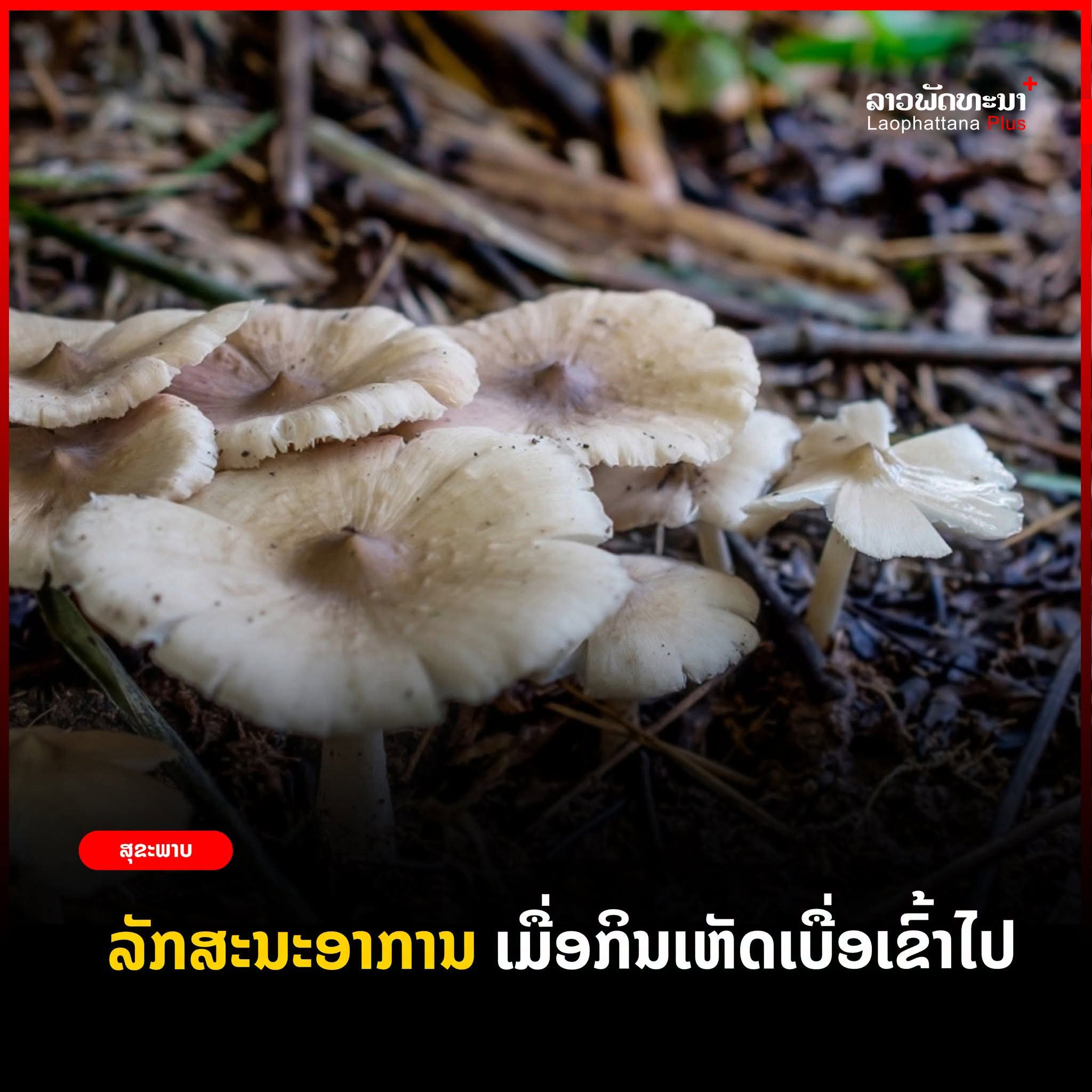 ລັກສະນະອາການ ເມື່ອກິນເຫັດເບື່ຶອເຂົ້າໄປ.