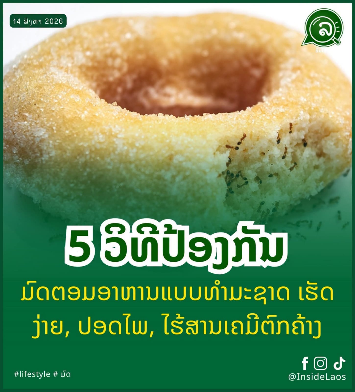 ອາກາດຮ້ອນຊຸ່ມເທື່ອໃດ ມົດມັກມາຕອມເຄື່ອງກິນຢູ່ເຮືອນຄົວທຸກເທື່ອ! 🐜💥