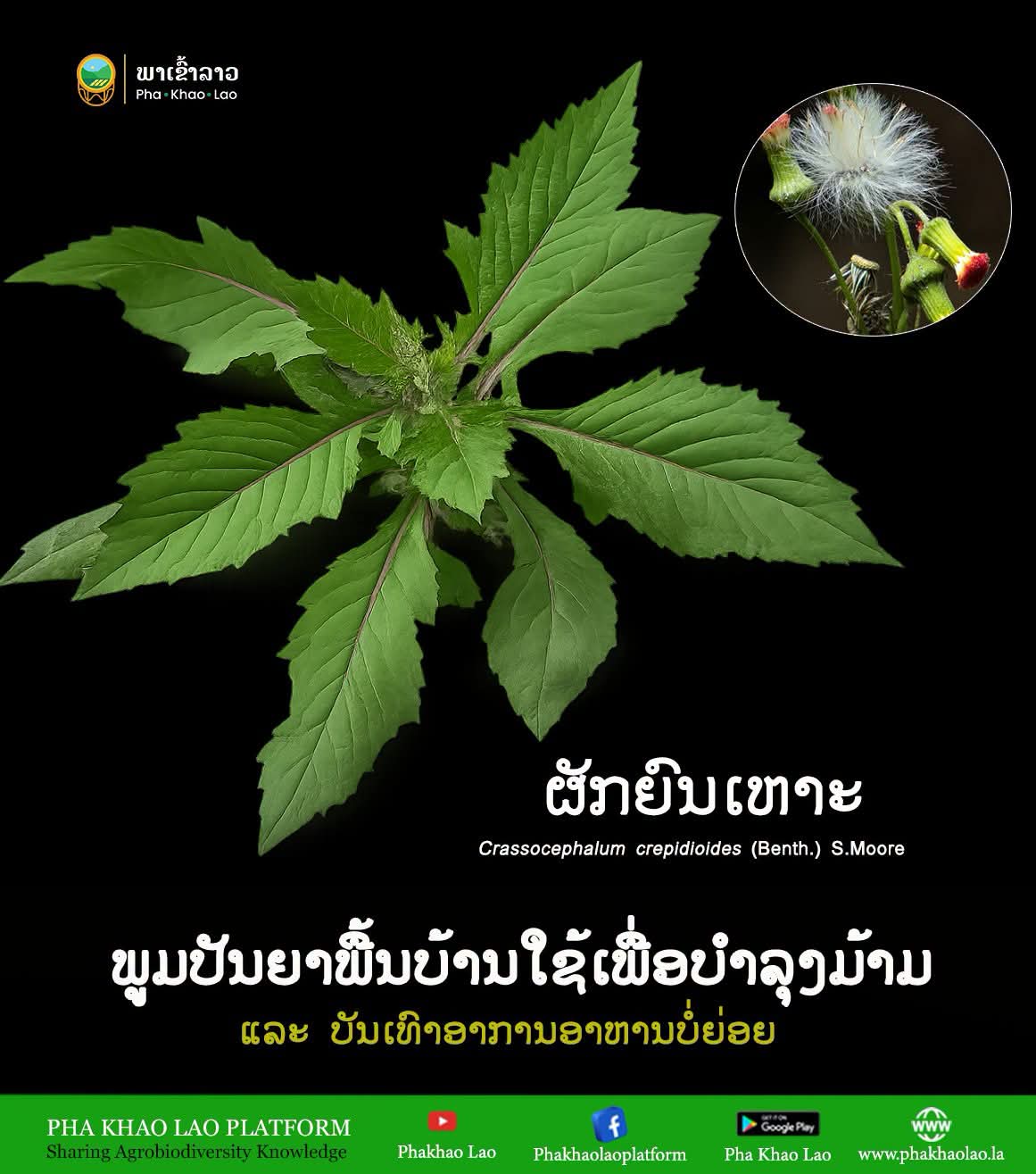 ຄົ້ນຫາຄວາມຮູ້ໃໝ່ | #ຊີວະນາໆພັນກະສິກຳ